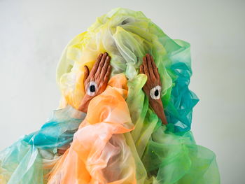 Illustrasjon til Dyrenes karneval